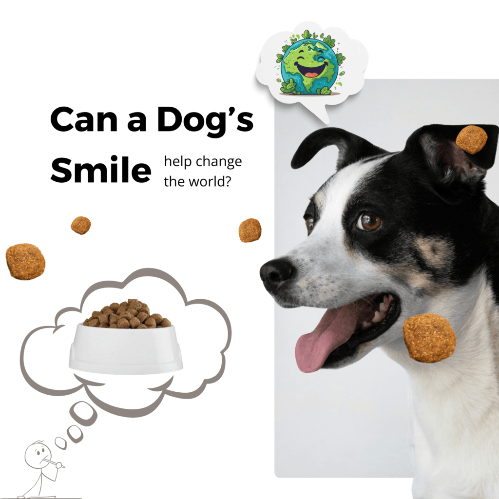 aidasinc-sites-best-dog-food-for-breed