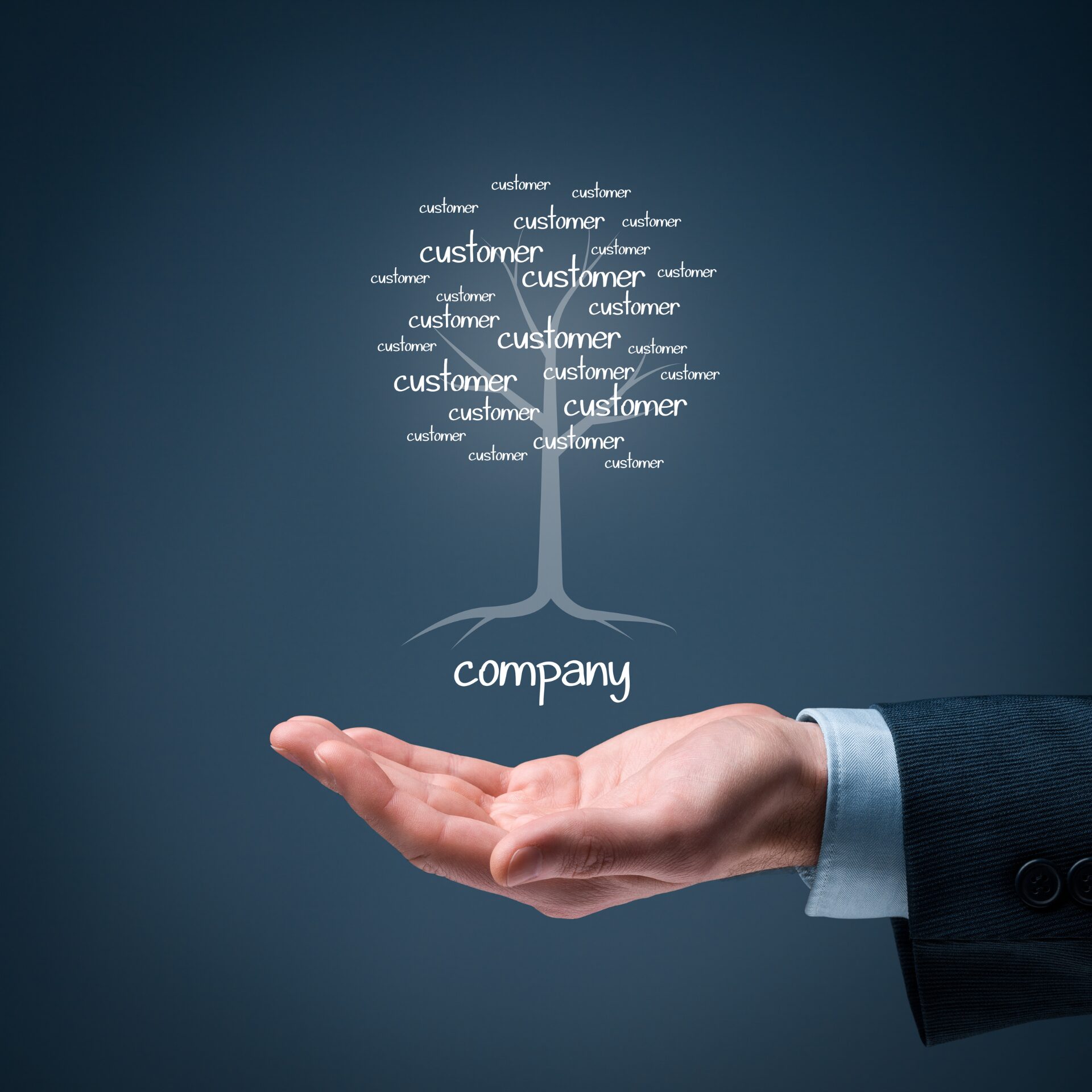 digital-marketing-services-agency-pilot-marketing-program
